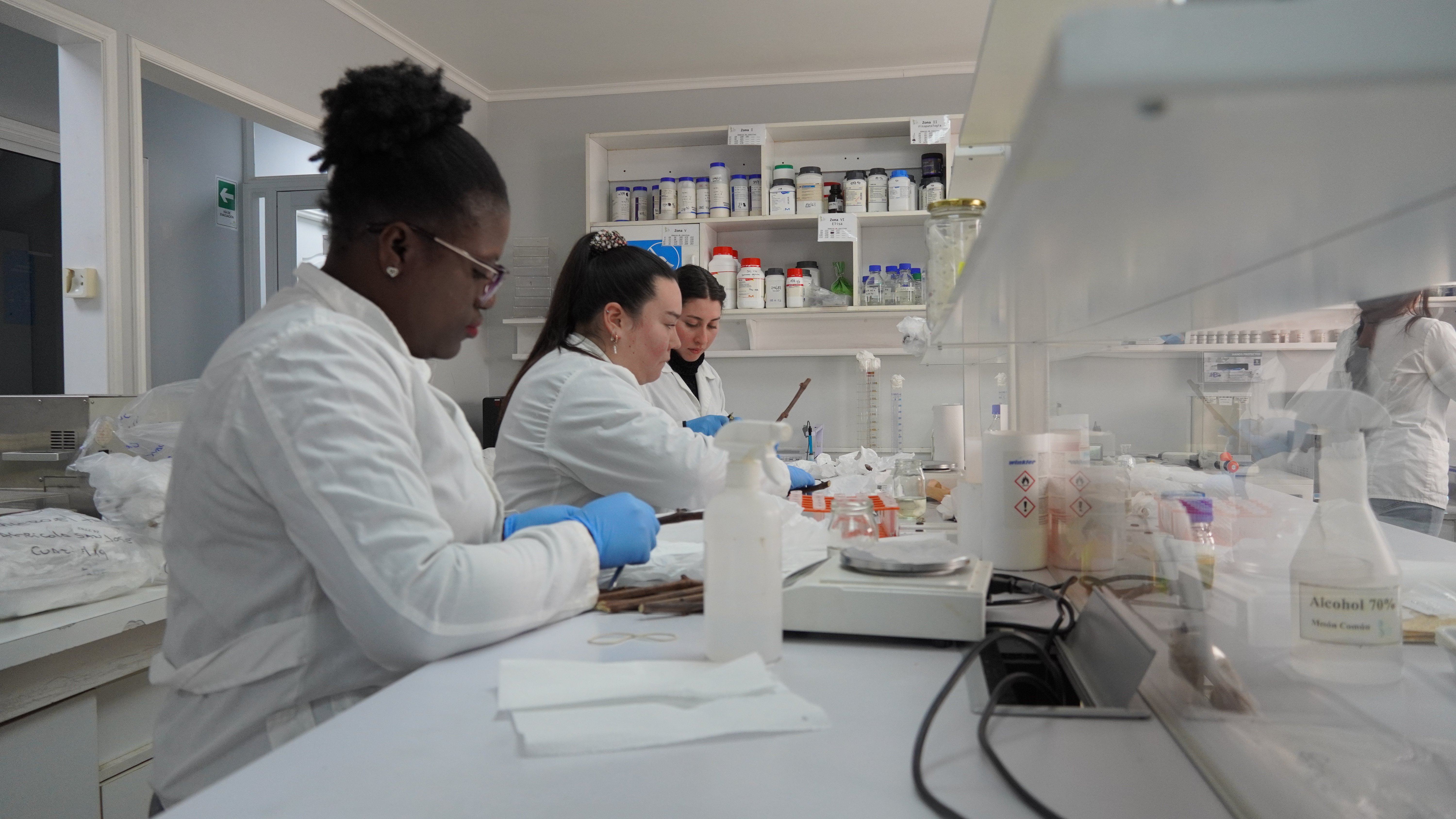  Tres personas trabajando en un laboratorio, usando batas blancas y guantes de látex azules. Están manipulando material de laboratorio, como tubos de ensayo y reactivos. Estanterías con productos químicos y equipo de laboratorio se encuentran al fondo.